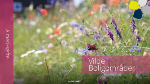 Forside af AlmenHæftet Vilde Boligområder med blomster i mange farver