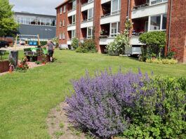 Niklas og Henrik sætter planter i blomsterkasse. I baggrunden rødsten etageboliger i boligafdelingen Ringgården